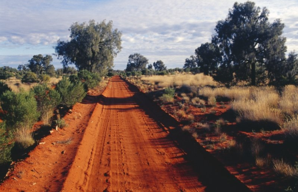 Coping During the Bushfire Emergency - Seed Psychology