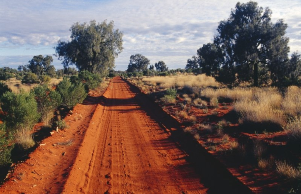 Coping During the Bushfire Emergency