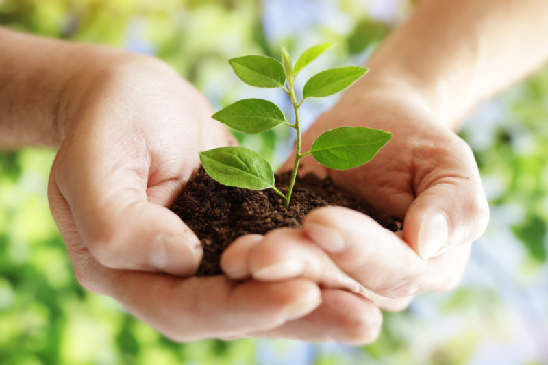 On Cultivating Compassion  